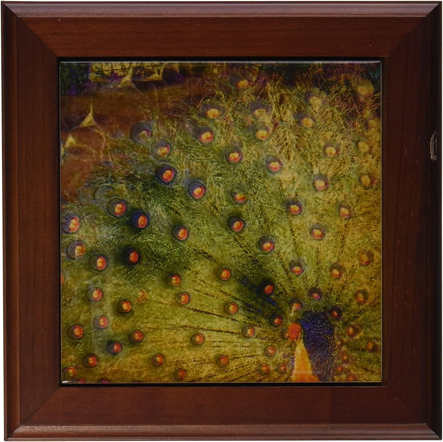 3dRose ft_29422_1 Vintage Peacock Feathers Art Animals Tropical Birds-Framed Tile, 8 by 8-Inch