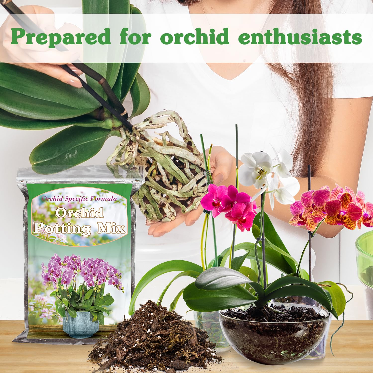 Miscela per invasatura di orchidee per rinvaso, miscela di muschio e corteccia di pino, torba di cocco e perlite, miscela di corteccia di orchidea, buon drenaggio - 1QT