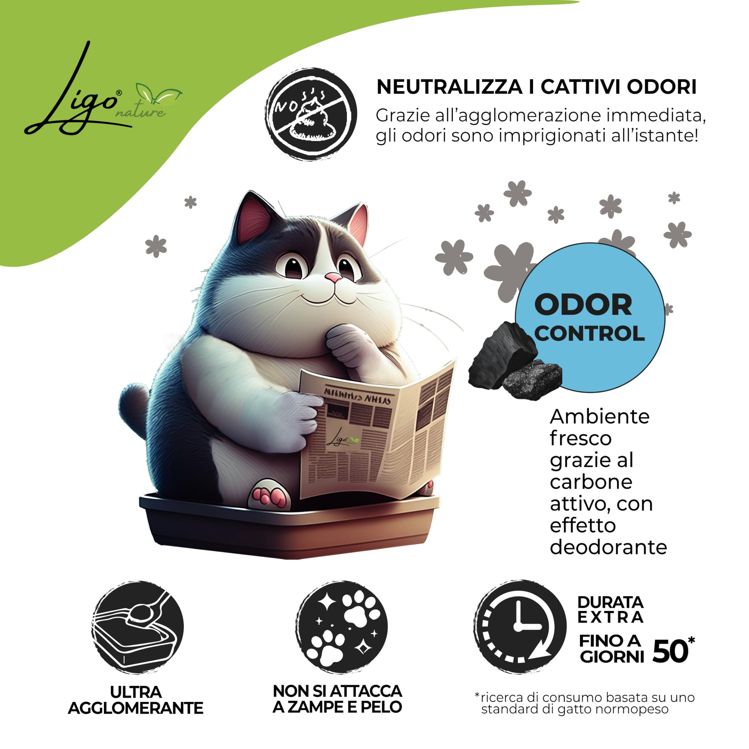 Ligo Nature Lettiera gatto | con carboni attivi| ecologica| ultra assorbente|assorbimento rapido|controllo degli odori|10l