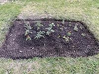 Review Image by M S M S