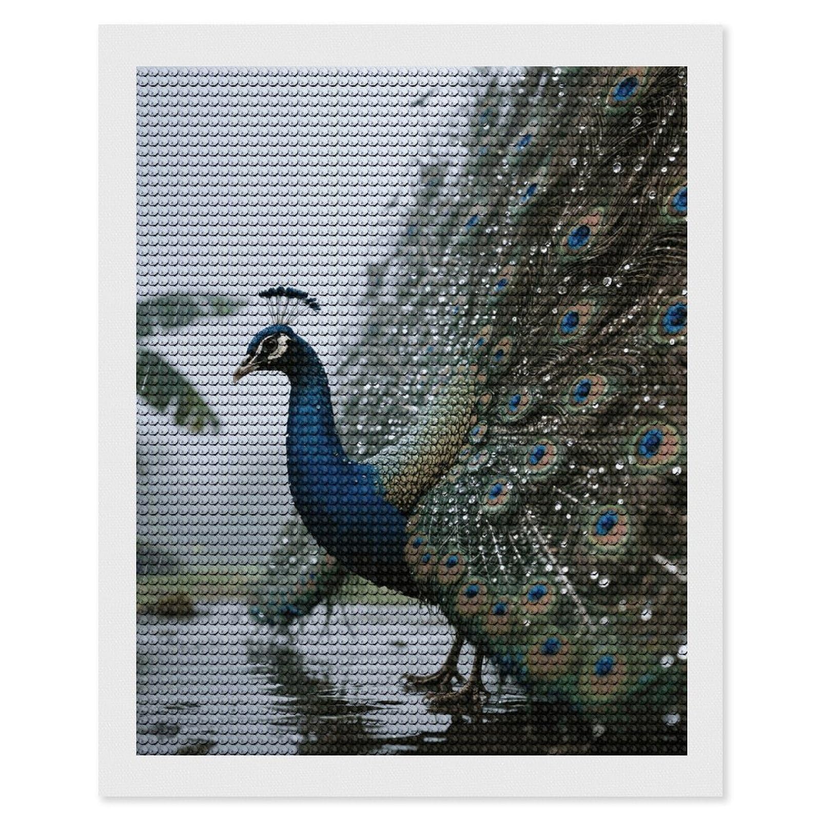 FodPand Peacock 5D Diamond Painting Kits for Adults Beginners Full Drill Round Diamond Dots Pictures Gem Art Supplies for Home Wall Room Decoration DIY Craft Set Gift 16x20
