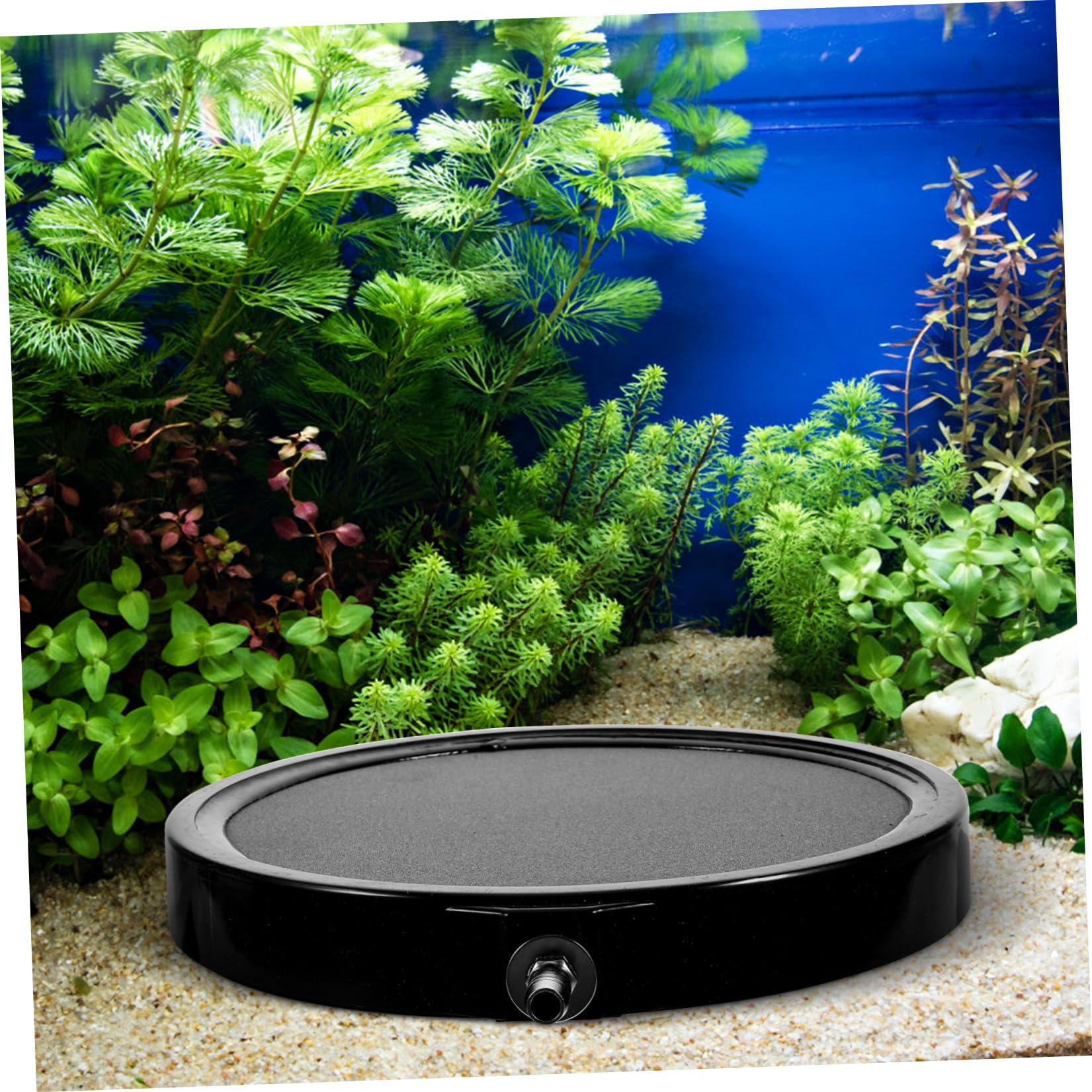 Alipis Pierre à Air Disque Diffuseur à Bulles pour Aquarium Noir en Sable et Gravier Haute Température, Oxygénation, Compatible Pompe à Air Couleur Aléatoire