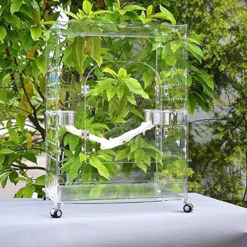 Amazon | 鳥かご 大型 透明 鳥小屋 バードケージ 鳥籠 大きい