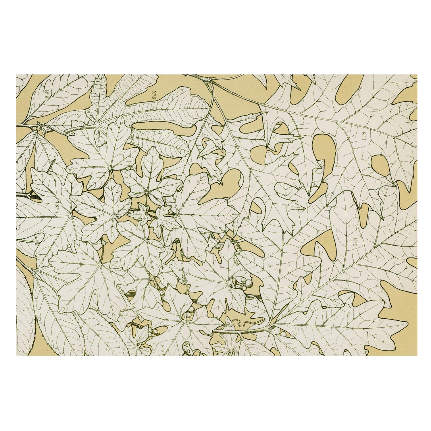 Papel Pintado Textil De Tejido No Tejido 208x146 cm hojas de árbol
