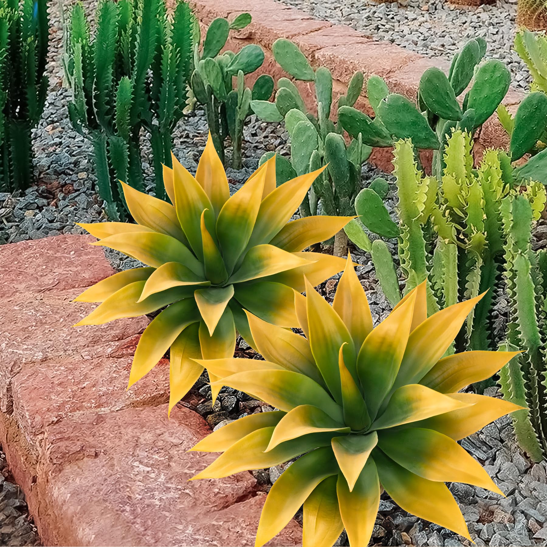Yellow Agave Plants - 2 Pack, UV Resistant -6