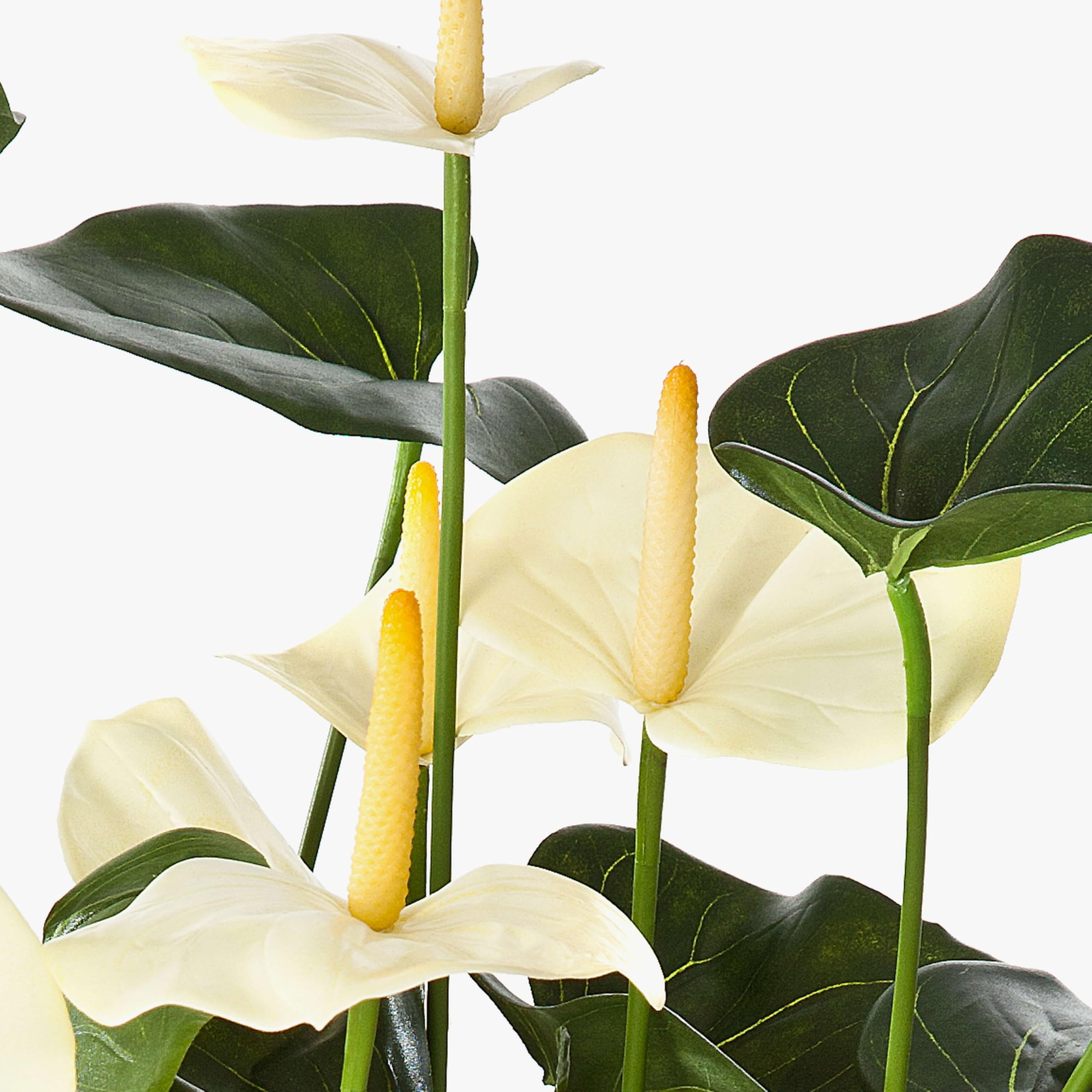 artplants.de Mata de Anthurium Artificial, Crema, Deluxe, 80cm | 44 Hojas, 13 Flores - Planta Decorativa - Flores Artificiales