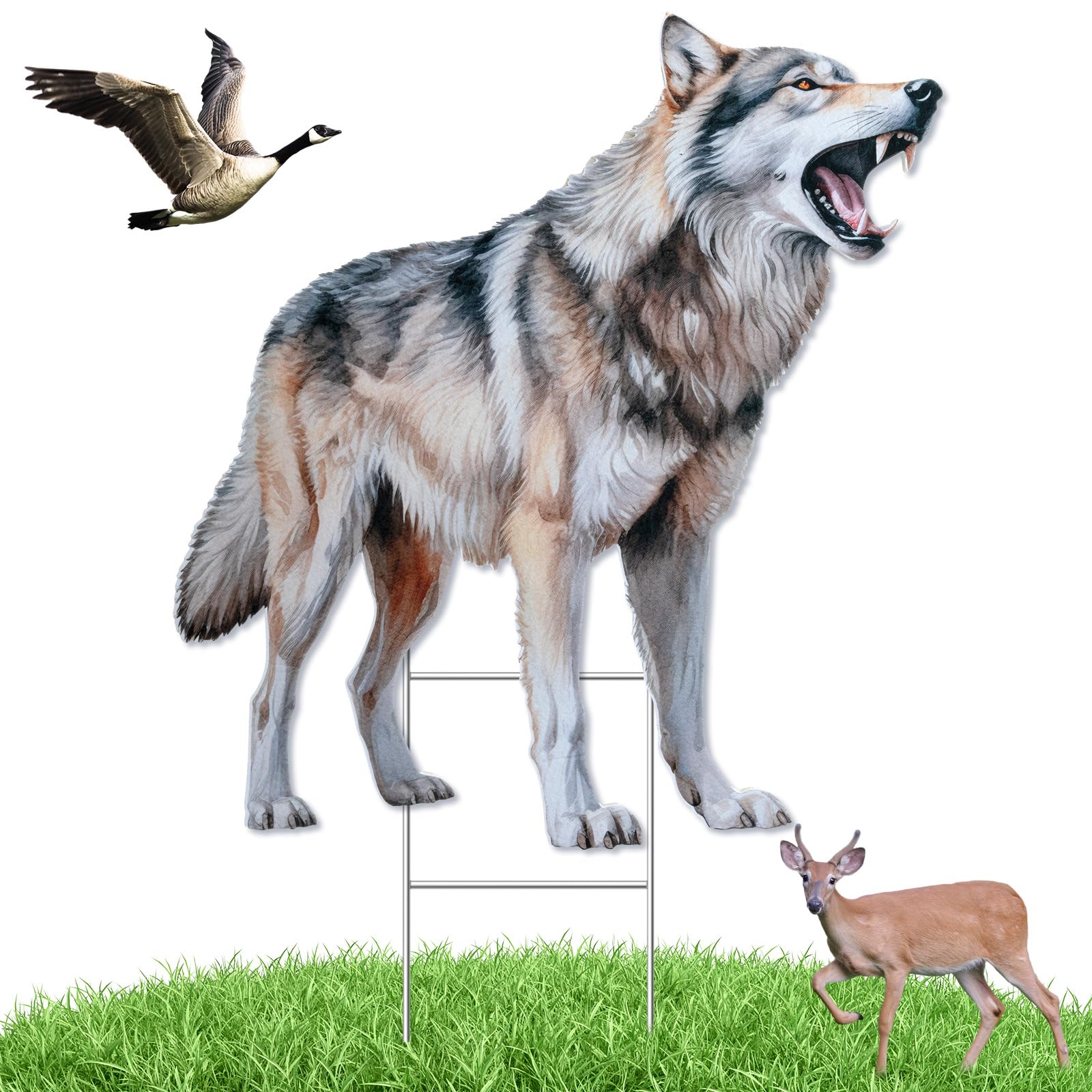 Leurre de coyote pour oies et protection du jardin contre les cerfs