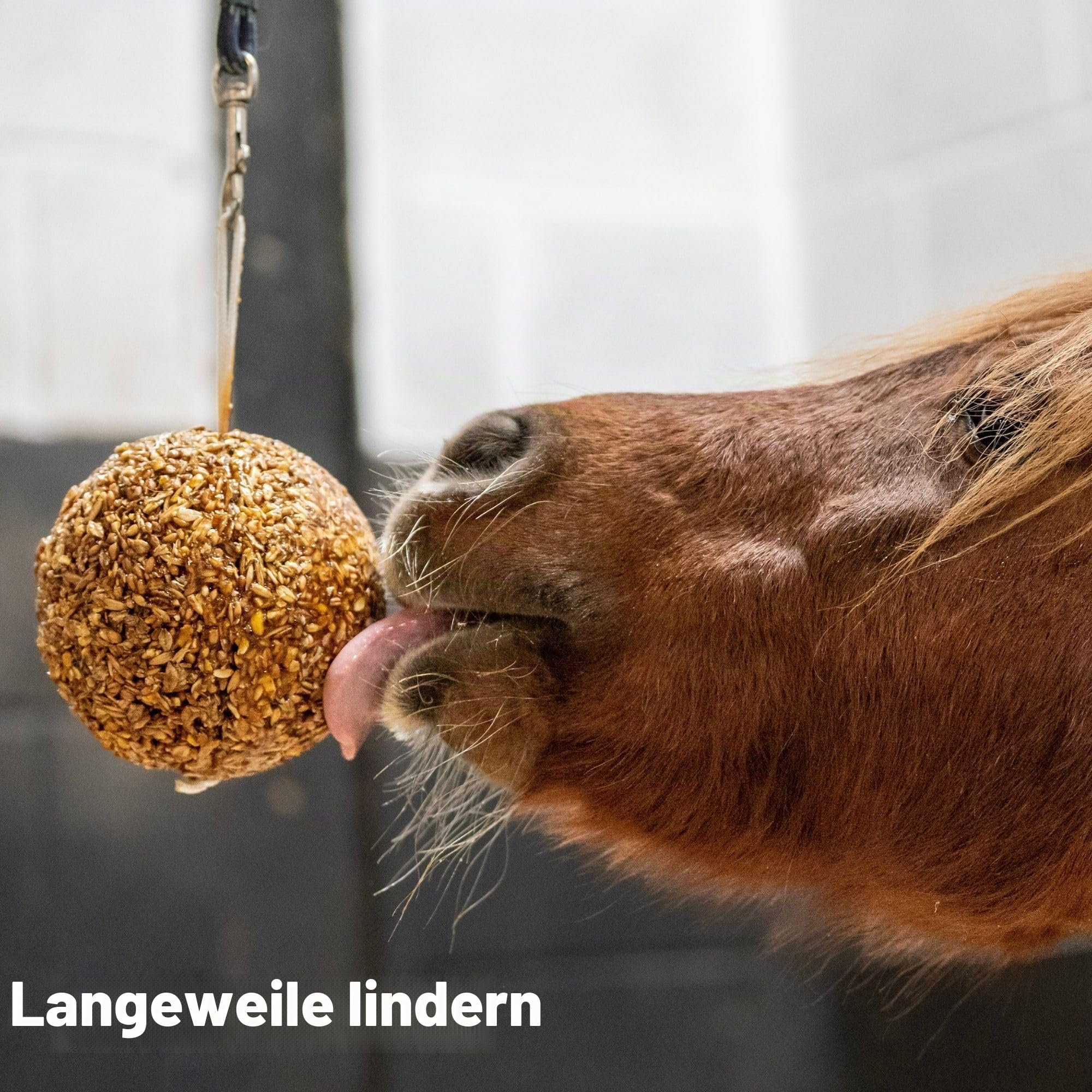 Likit Granola Stallball gemischte Beeren