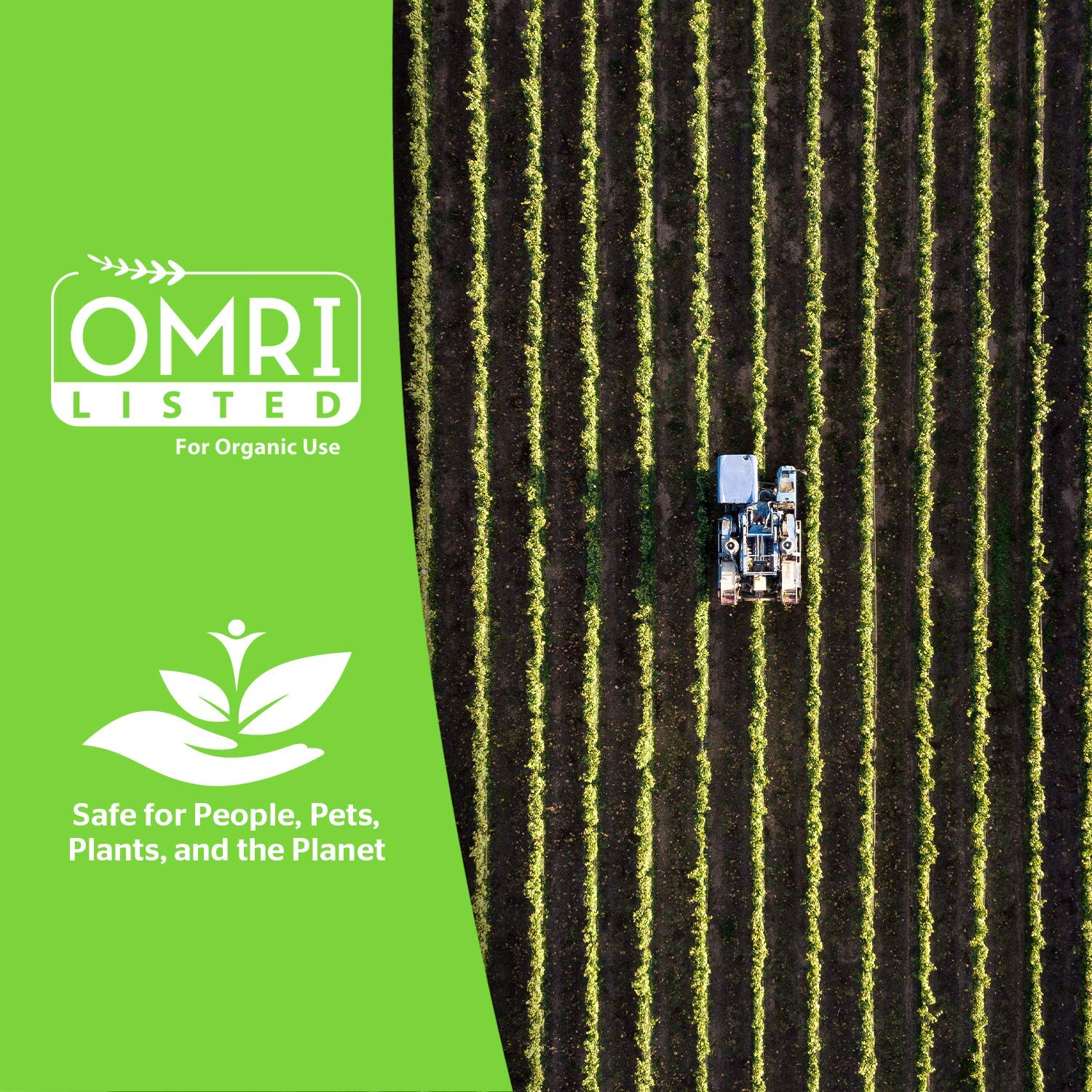 Buy SCD Probiotics ProBio Balance Plus Enhanced Probiotic Mother