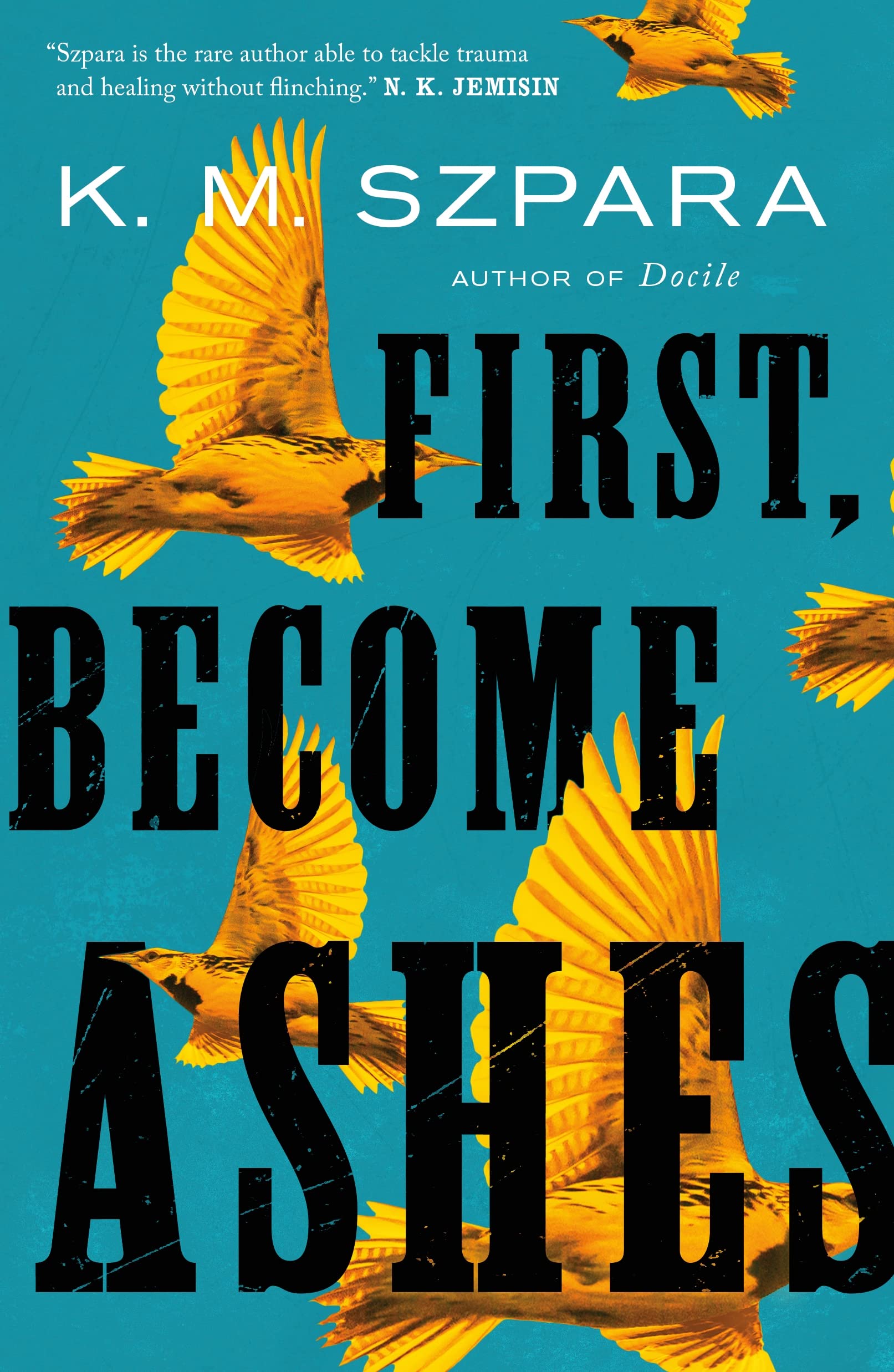 K.M. Szpara - First, Become Ashes - Fantasy Paperback Book