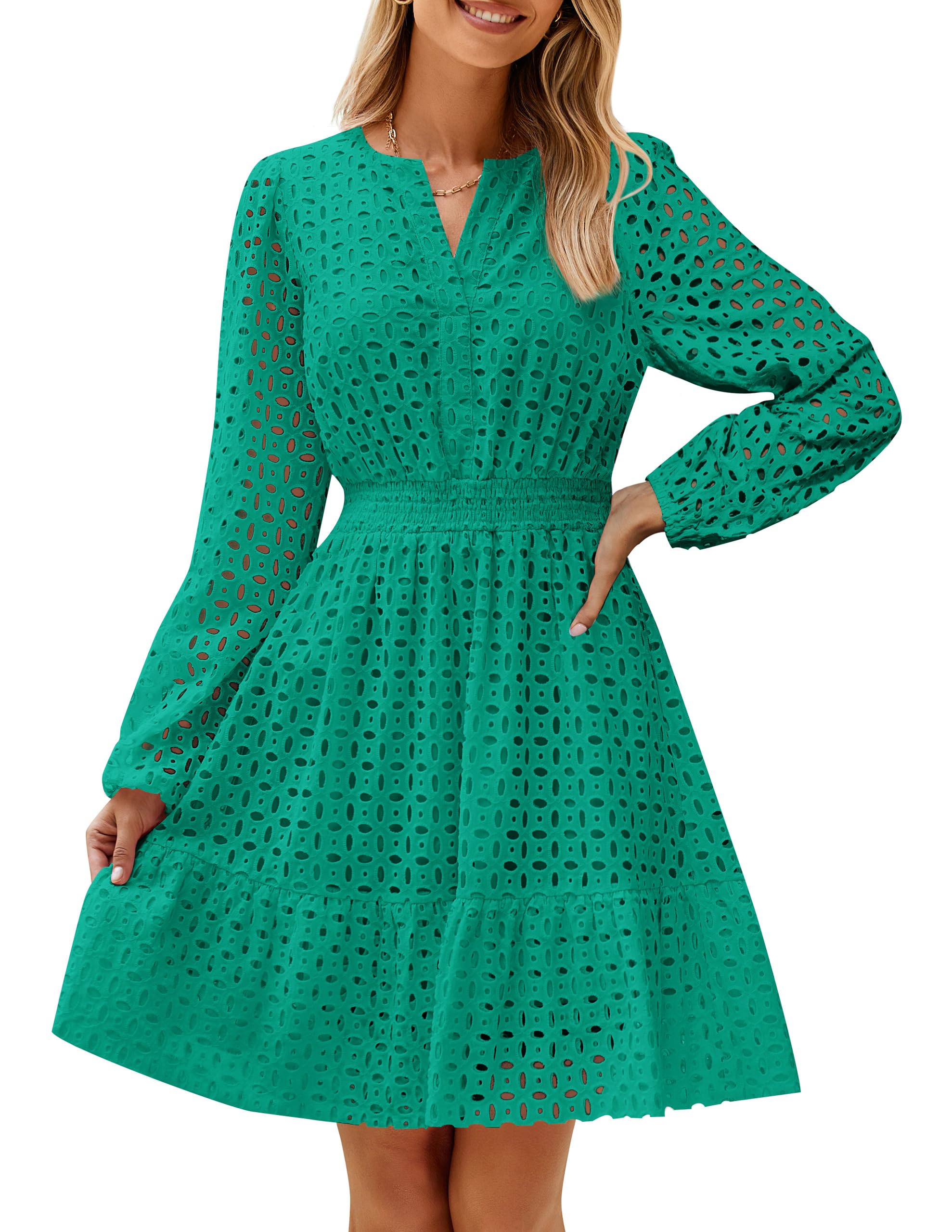 ZESICA Womens Fall Long Sleeve Eyelet Embroidery Mini Dress