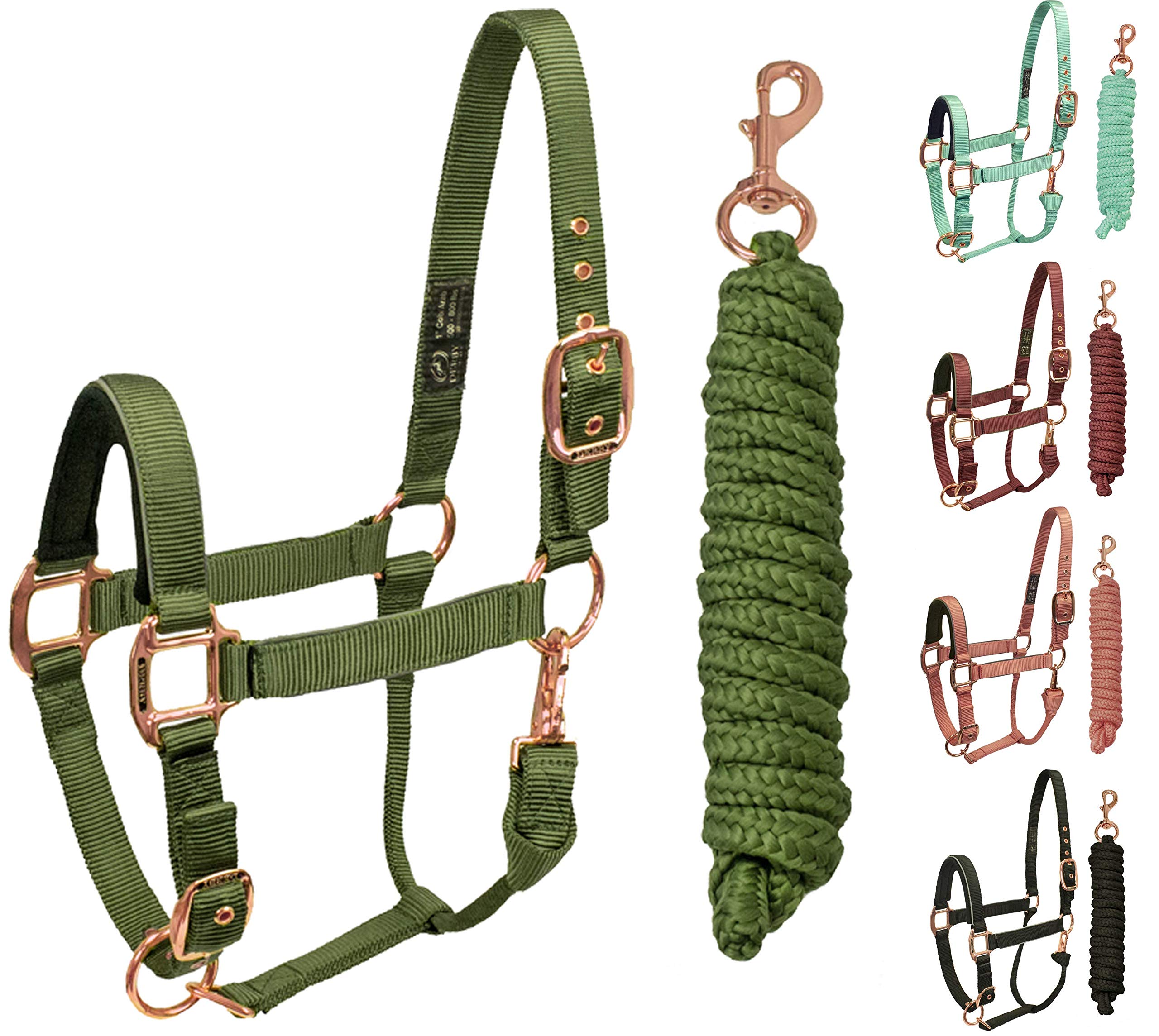 15 Best Horse Halters And Leads 2023 Reviews & Ratings