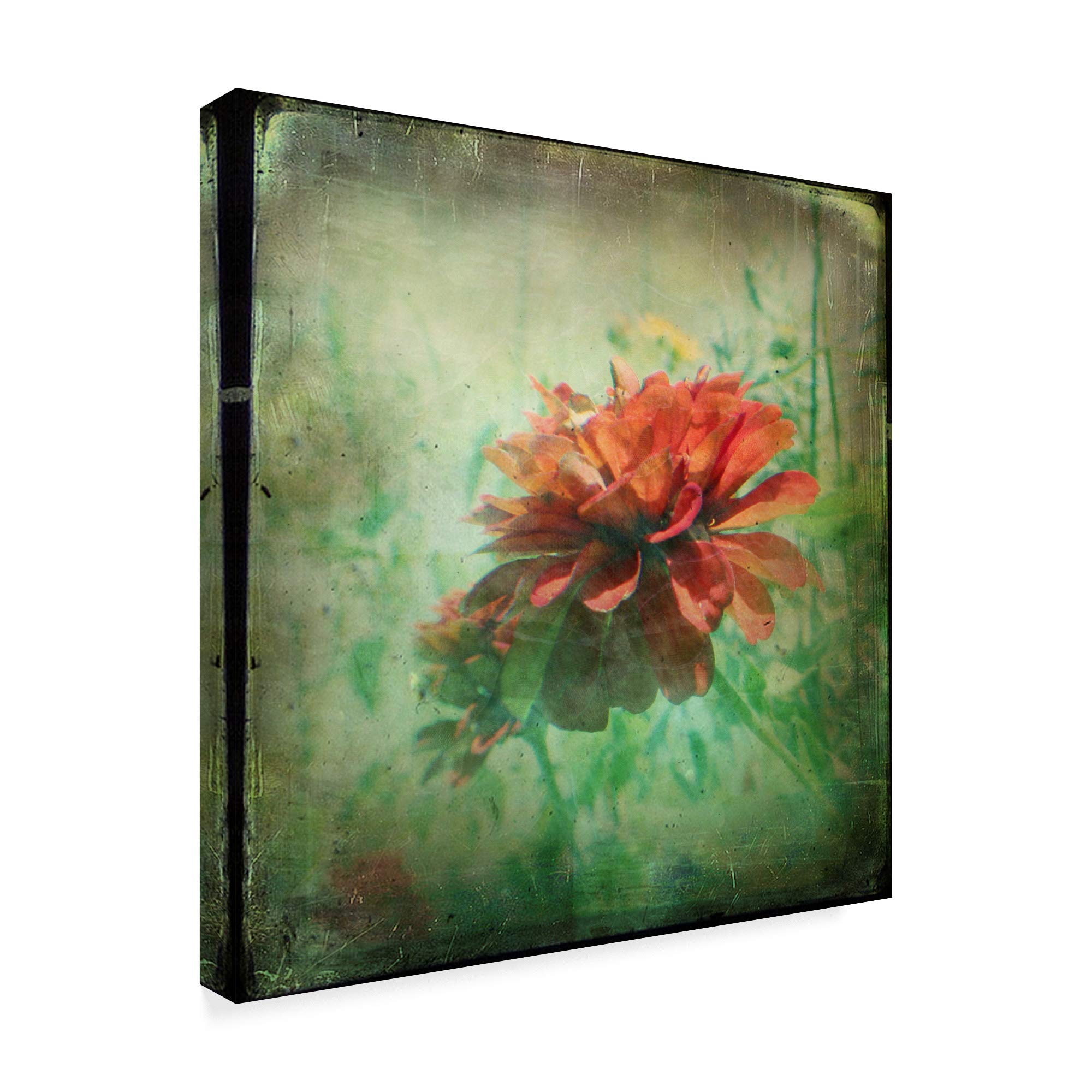 Amazon.co.jp: ピンクXiの商標ファインアートドリームジェニファー