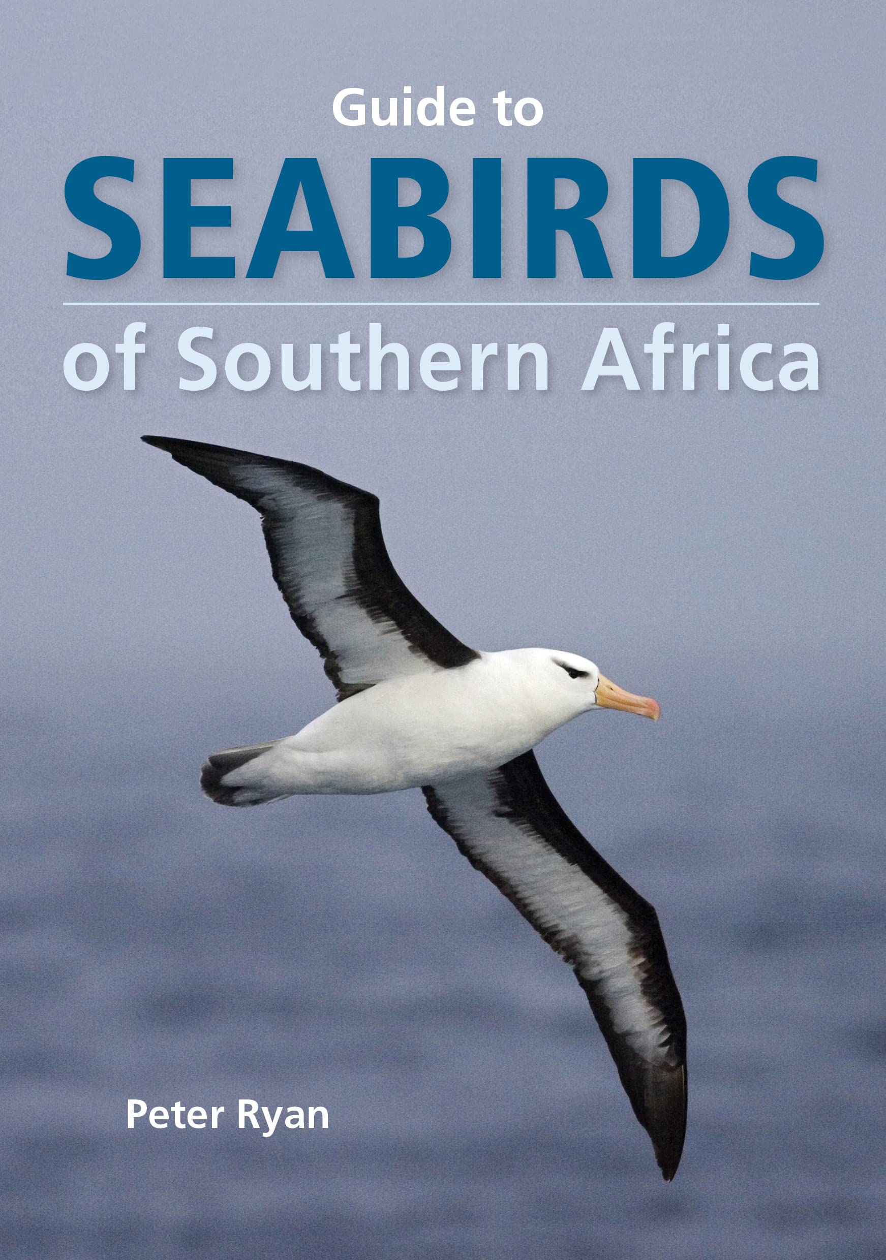 Seabirds of Southern Africa