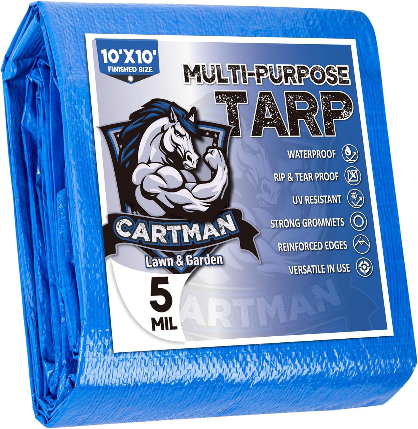 CARTMAN Finished Size 10x10 Feet Blue Poly Tarp 5 Mil Thick, Multipurpose Protective Cover for Camping, Tent, Boat, RV, Car Global Recycled Standard