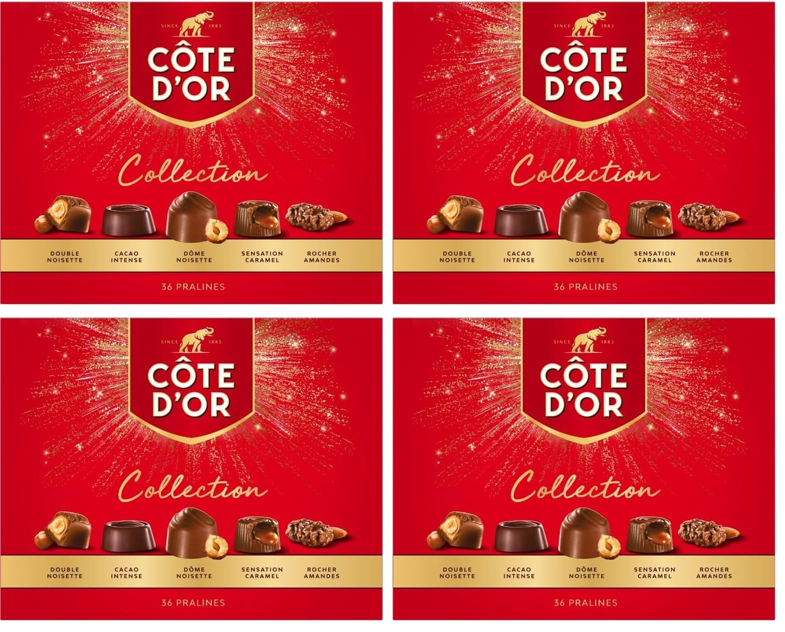 CÔTE D'OR - Coffret Collection - Assortiment 36 Chocolats - 4 Recettes : Double Noisette, Cacao Intense, Sensation Caramel, Rocher Amandes, Dôme Noisette - Idée Cadeau Noël à Offrir - 1 Boîte de 345g