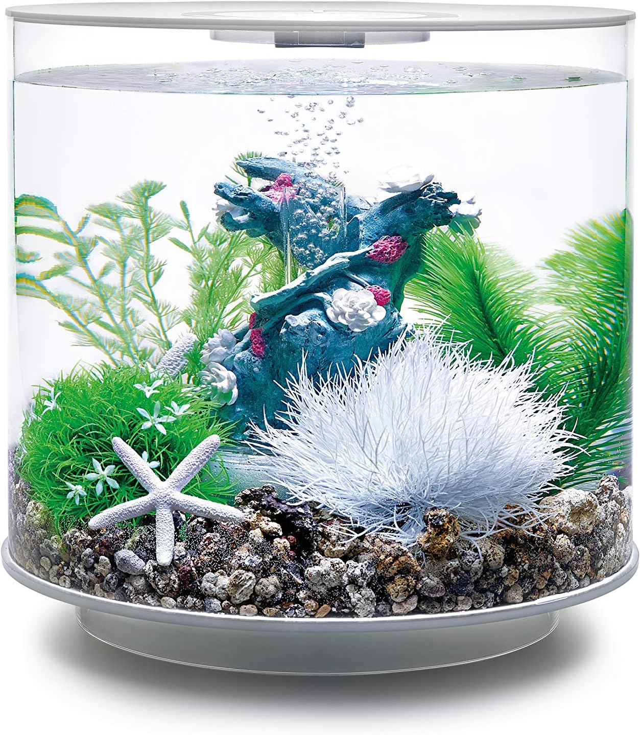 Buy biOrb Easy Aquarium Plant Sets Online Oman Ubuy