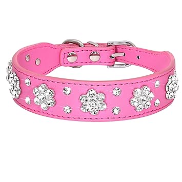 Didog - Cute PU Leather Dog Collar - Rhinestone Flower Pattern Studded - 1 Inch Width Fit Small and Medium Dogs (M:12-15