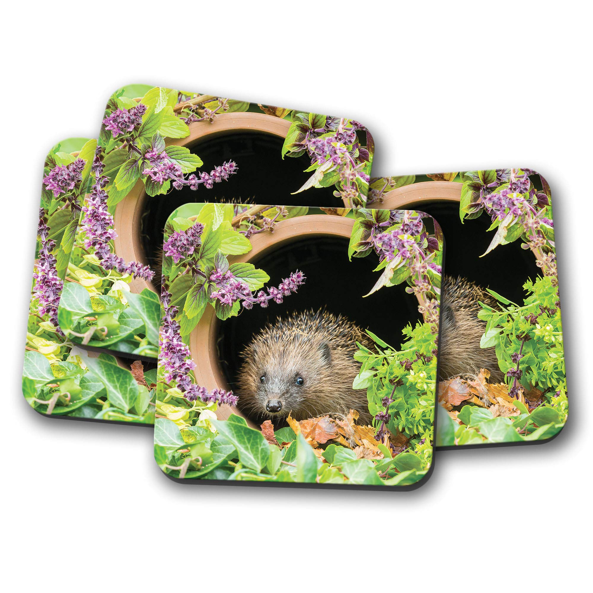 Destinationvinyl Multicolor 4 Set - Cute Hedgehog Coaster - Flowers Garden Wildlife Nature #14340