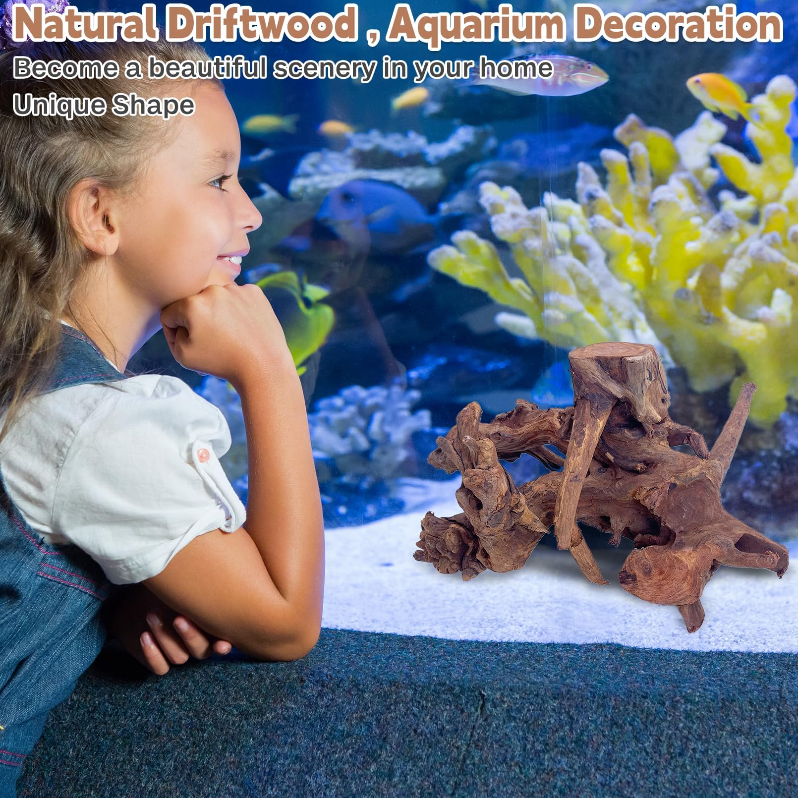 PINVNBY Madera natural grande para decoraciones de acuario, ramas variadas, accesorios para tanque de dragón, terrario, 2 unidades