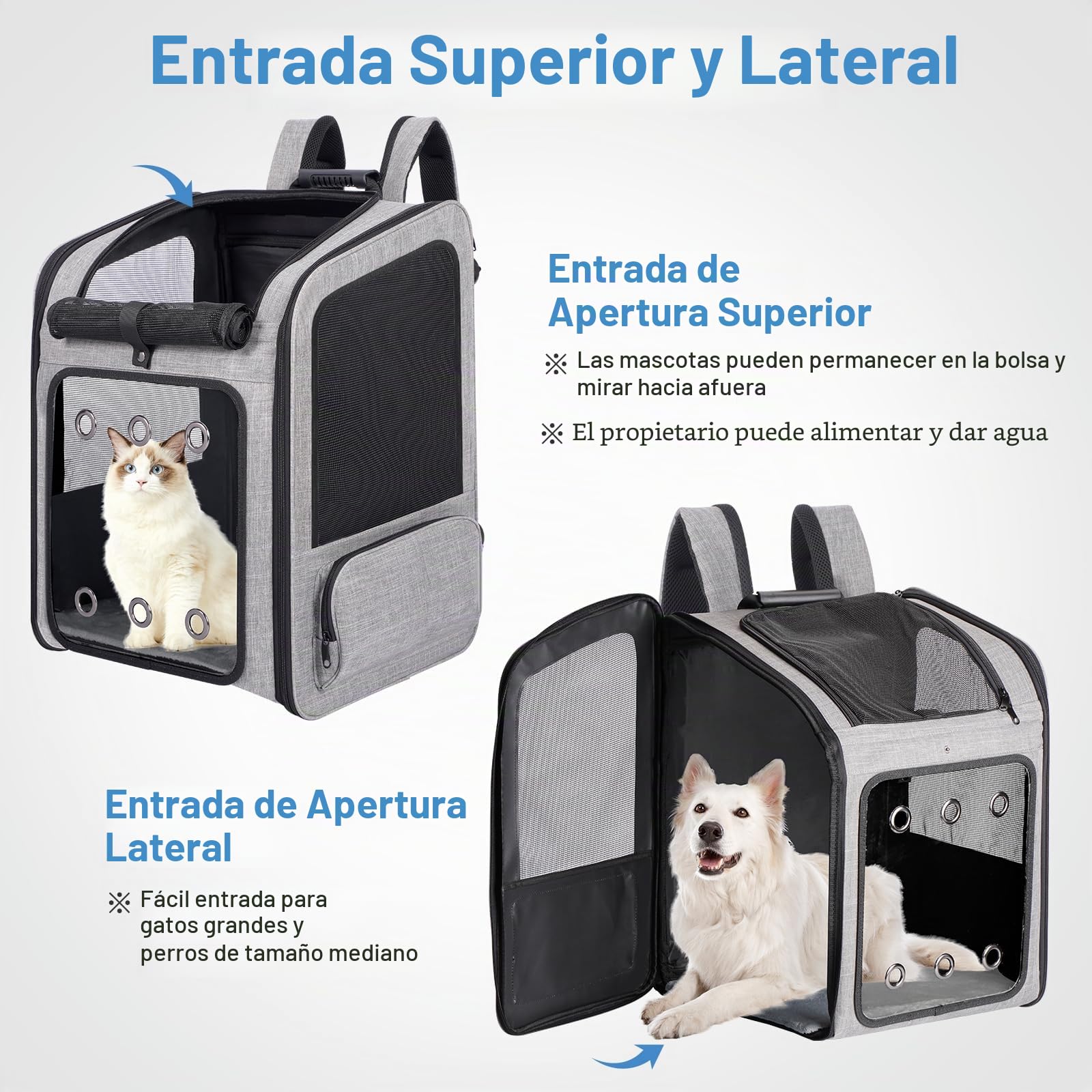 Mochila Transportín para Gatos Grandes hasta 15 kg y Perros Pequeños 12 kg, con Panel Acrílico Transparente, Malla Transpirable, Almohadilla Lumbar Acolchada y Cojín Desmontable y Lavable