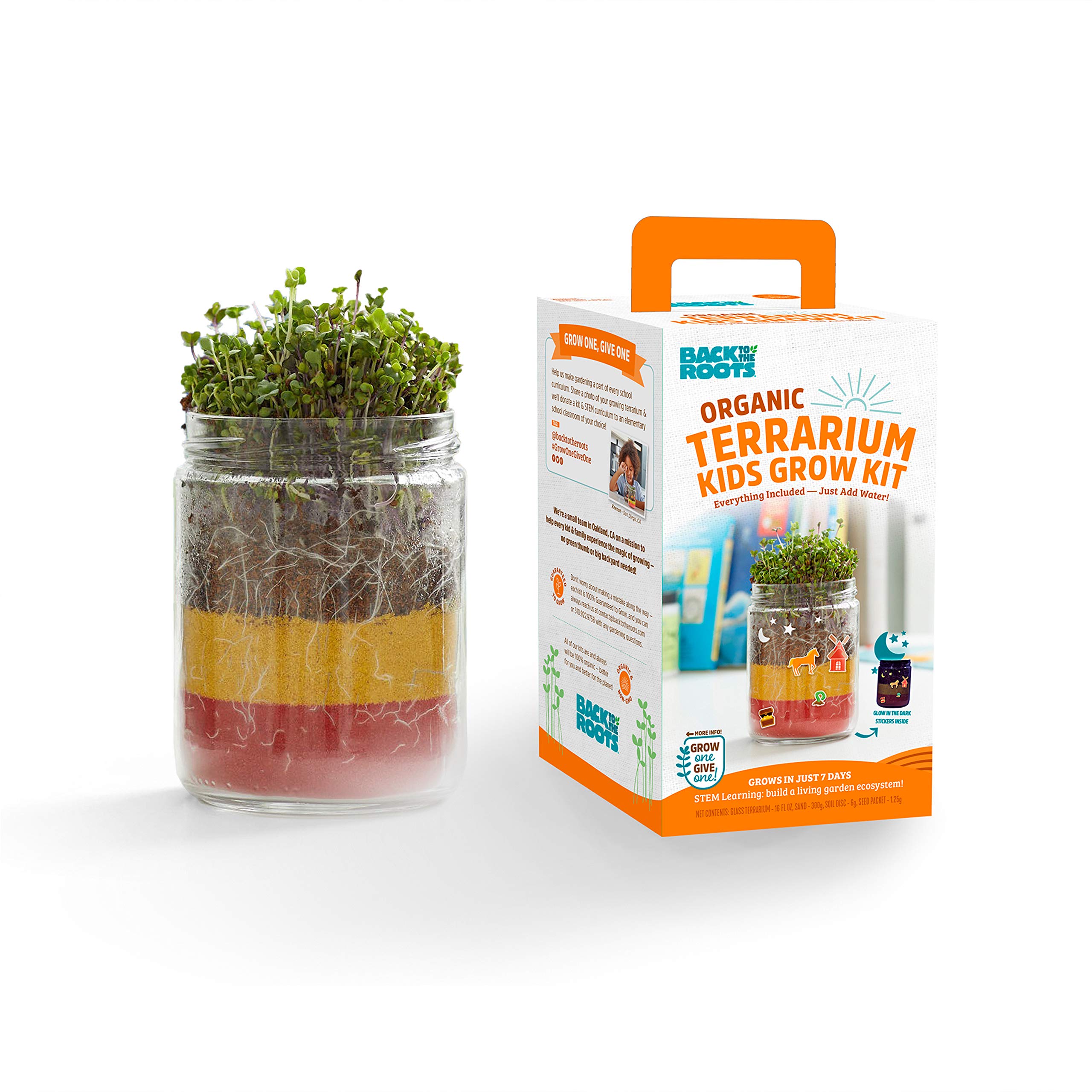 Back to the Roots STEM Certified Kids Terrarium Grow Kit - Easy-to-Use DIY Set for All Ages Small