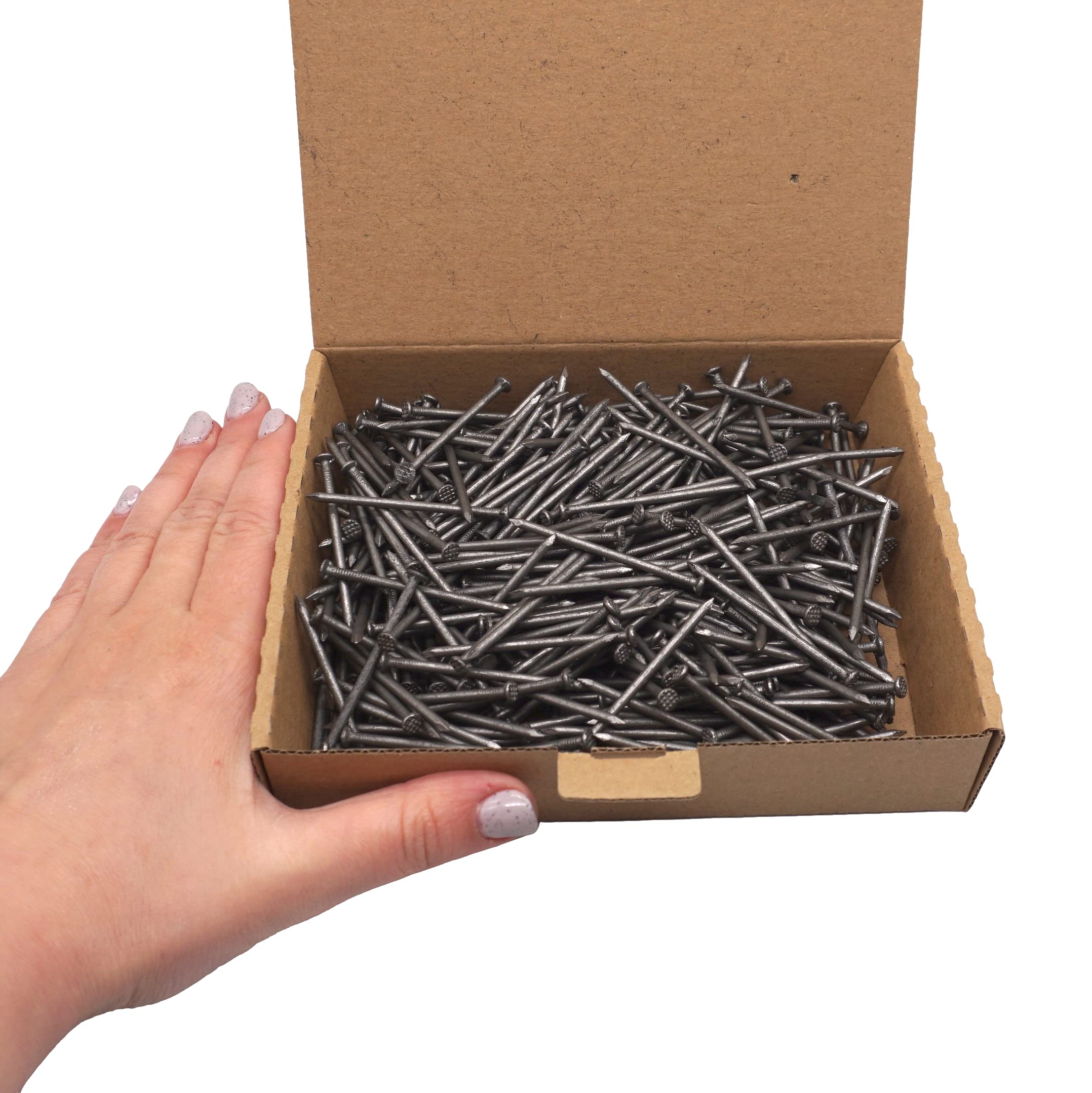 (Pack of 400 pcs) Steel 2.5 x 50 mm Construction Nails, Flat Round Head, Multi-Purpose Common Bright Wire Nails - Image 3