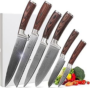 Wakoli Damascus Kitchen Knife Set, 6 Pieces Professional Chef Knife Set made from 67 Layers of Damascus Steel with VG10 Core, Knives Set for Kitchen with Pakkawood Handles in Gift Box (EDIB 6-pcs)