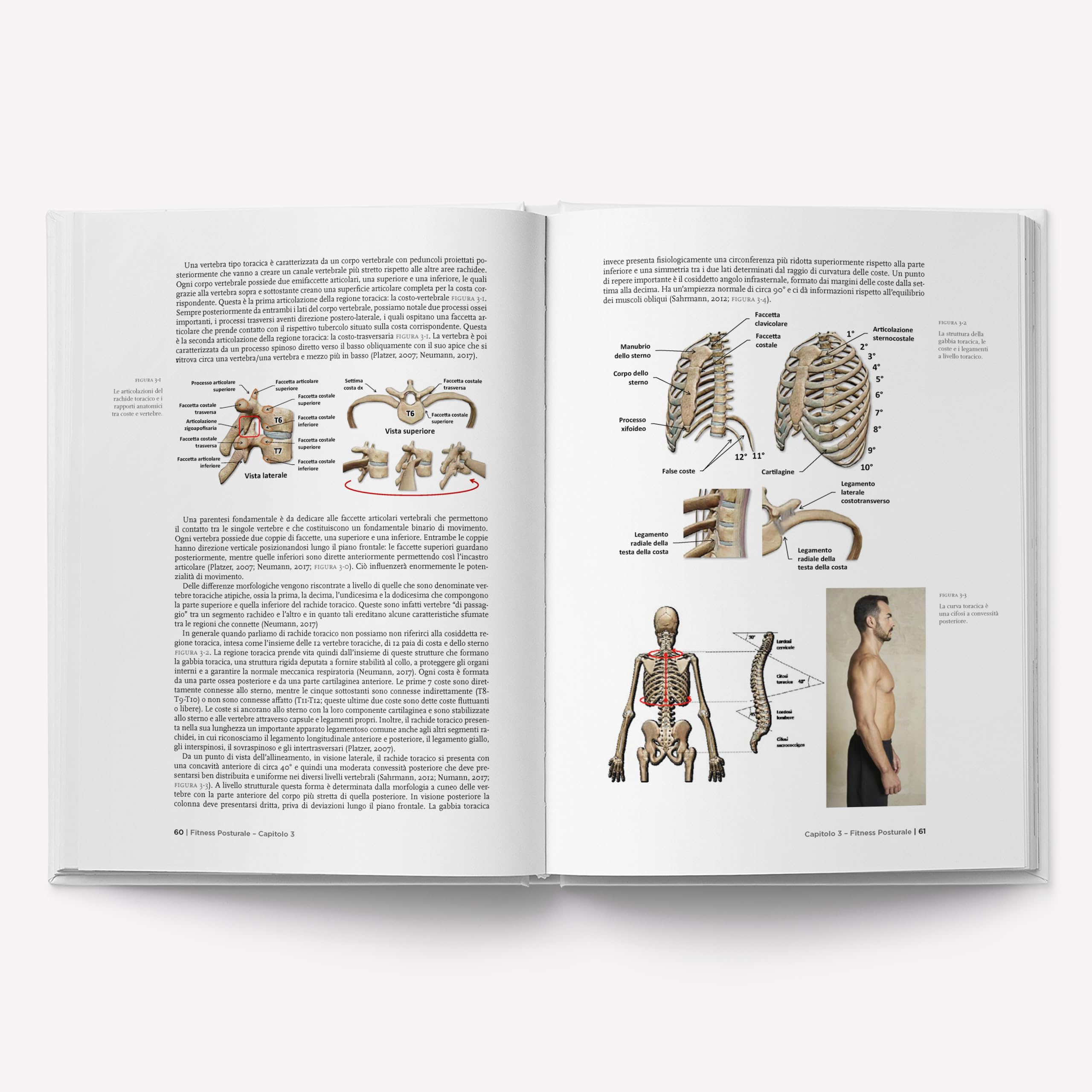 Fitness posturale. Valutazione, postura e dolore (Vol. 2)