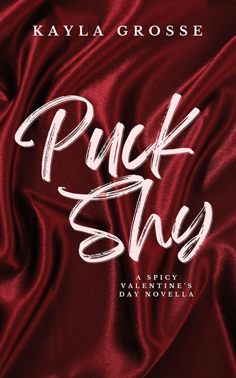 Puck Shy A Spicy Valentine's Day Novella (Discreet Cover