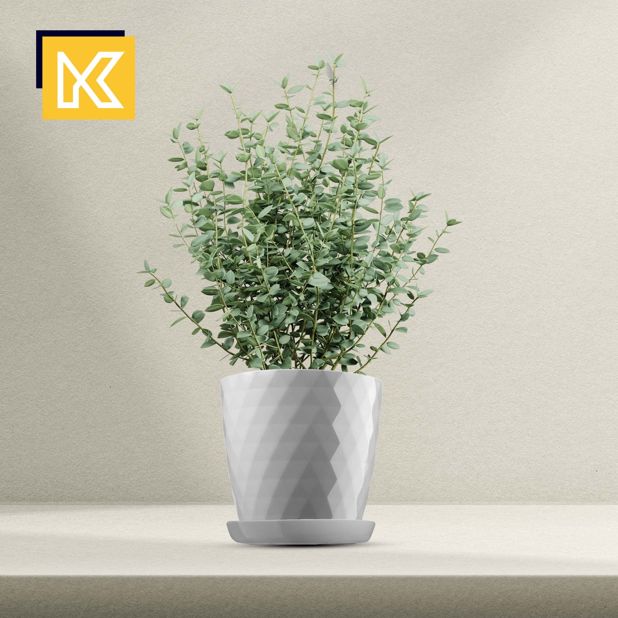 KADAX Pot de Fleurs en Plastique avec Soucoupe, Pot de Plante pour Une Décoration Florale Moderne dans l'espace Interieur (Lot de 3 : Gris, 25 cm)