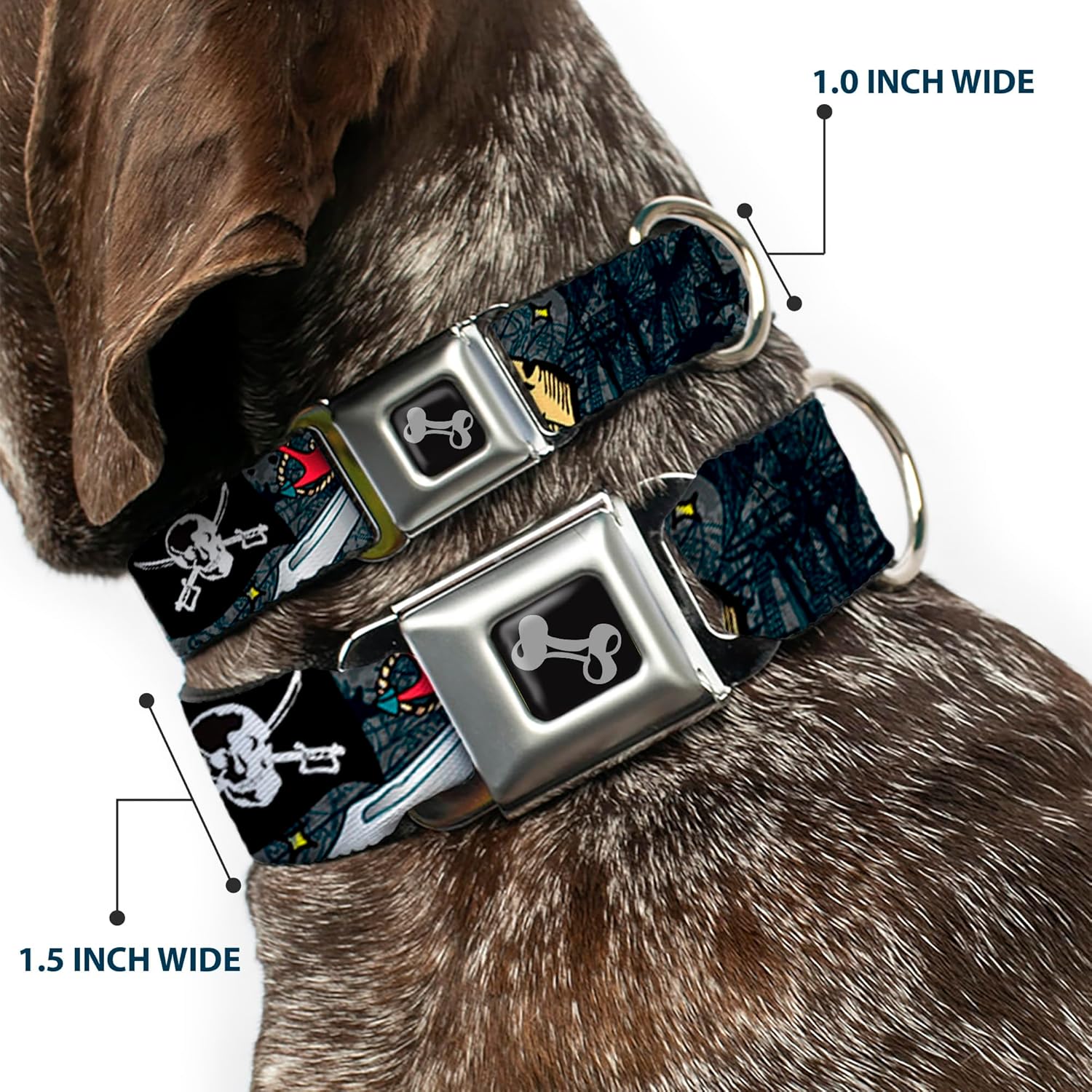 Dog Collar Seatbelt Buckle Dead Men Tell No Tales Gray 11 to 17 Inches 1.0 Inch Wide