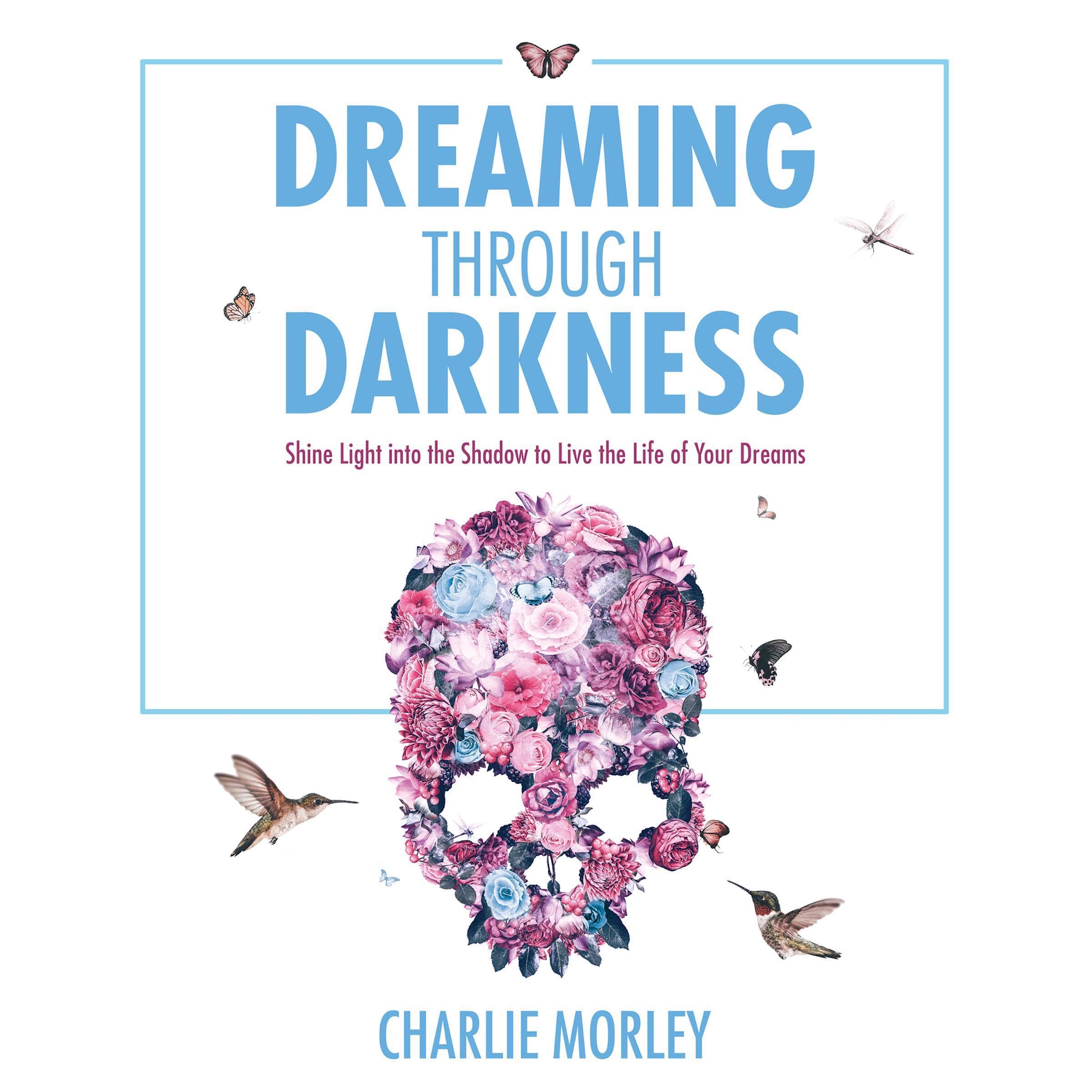 Cover art for Dreaming Through Darkness