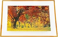 Vista 2 de GAC - Bandeja rectangular de vidrio templado con diseño único de paisaje, patas de bola de vidrio, 8 x 12 pulgadas, resistente a la rotura, apta