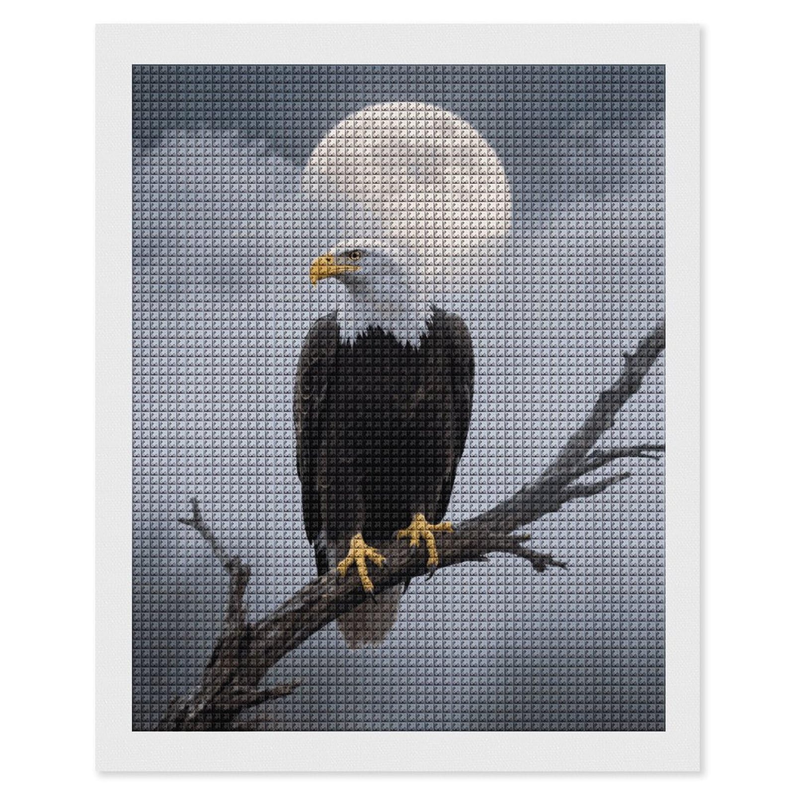 FodPand Eagle Full Moon 5D Diamond Painting Kits for Adults Beginners Full Drill Square Diamond Dots Pictures Gem Art Supplies for Home Wall Room Decoration DIY Craft Set Gift 16x20