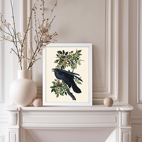 Miniatura 64 de Poster Master Póster vintage de flamenco americano, estampado retro de flamenco rosa, arte de pájaro, regalo para él, ella, amante de los animales,