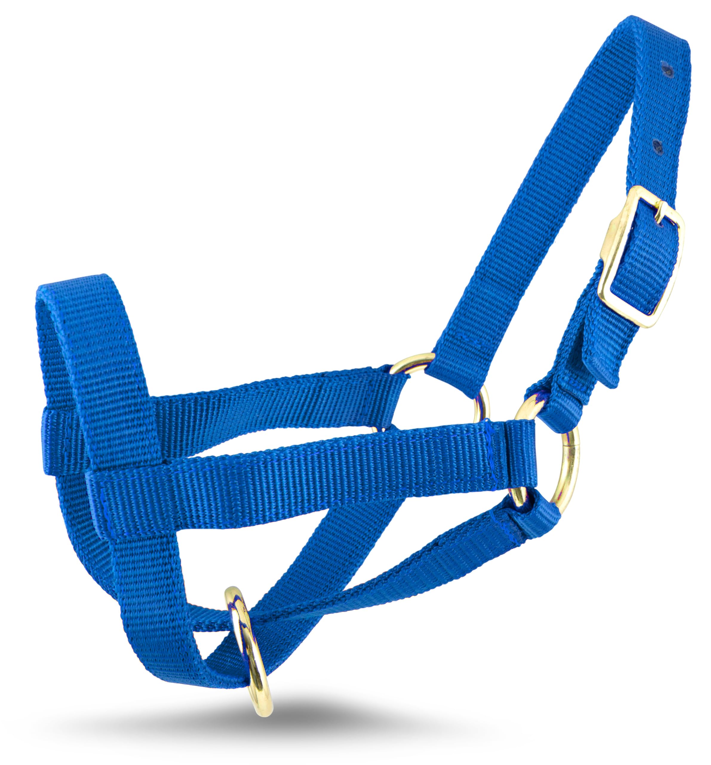 Jeffers Livestock Goat Halter, Medium, Royal Blue – Safe & Adjustable for Milking, Training, and Travel; Ideal for Dairy, Show Goats, and Small Livestock; - Protection & Accessories for Goats.