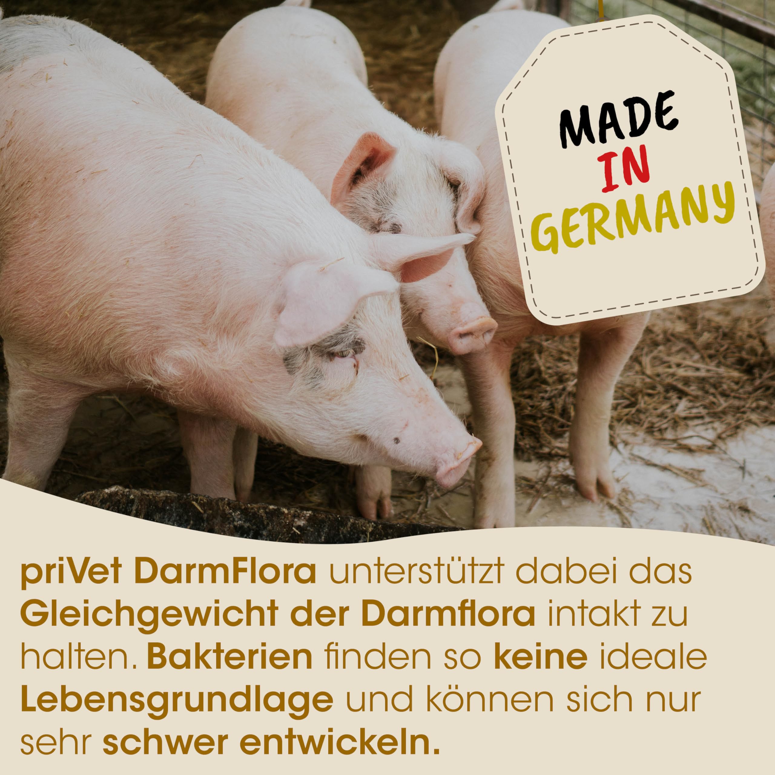 Privet DarmFlora 2,5l für Wiederkäuer, Esel, Schweine, Geflügel, Kaninchen