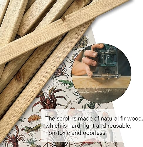 Miniatura 44 de XIAOAIKA Póster de botánica vintage con marco de madera, tabla de plantas venenosas antiguas, arte educativo botánico con especies peligrosas, 1