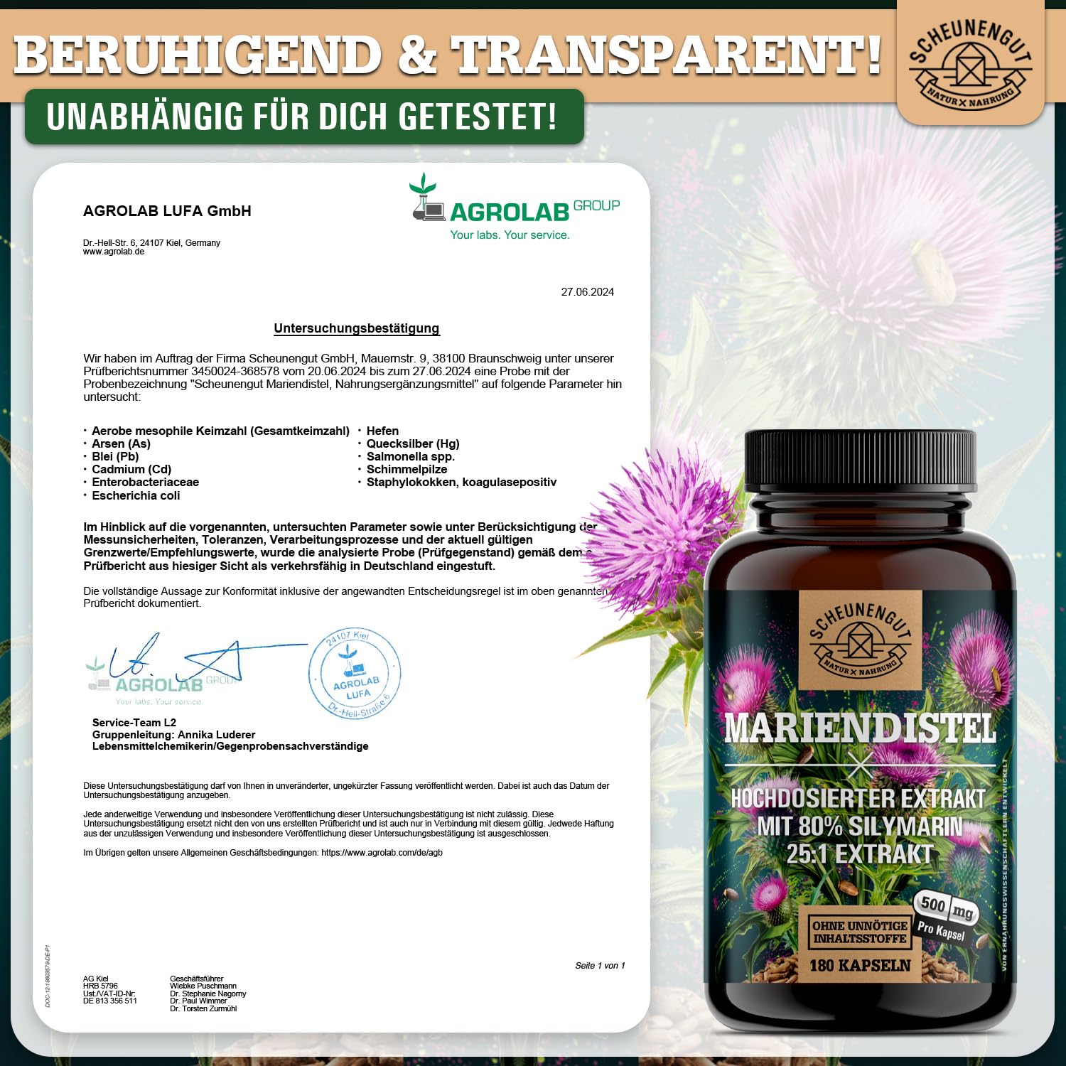 Mariendistel Kapseln 1500mg -WICHTIG: 25:1 Extrakt (=37500mg reines Mariendistel pro Tagesdosis) +80% Silymarin -Silymarin Hochdosiert- Laborgeprüft und Vegan DE SCHEUNENGUT®