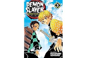 Demon Slayer: Kimetsu no Yaiba Graphic Novel Volume 3