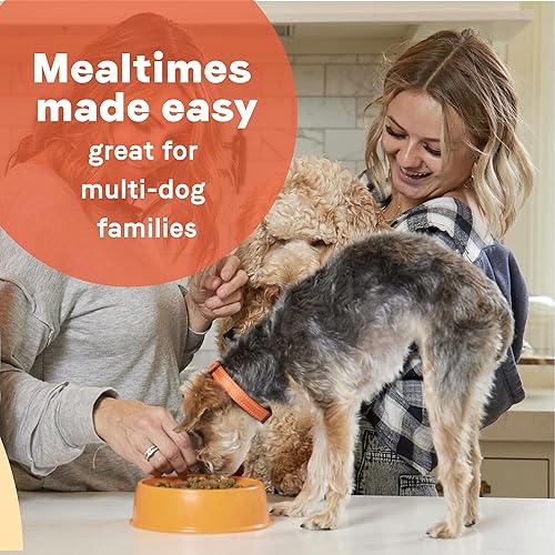 Miniatura 8 de Canidae Life Stages Alimento para perros enlatado para cachorros, adultos y mayores.