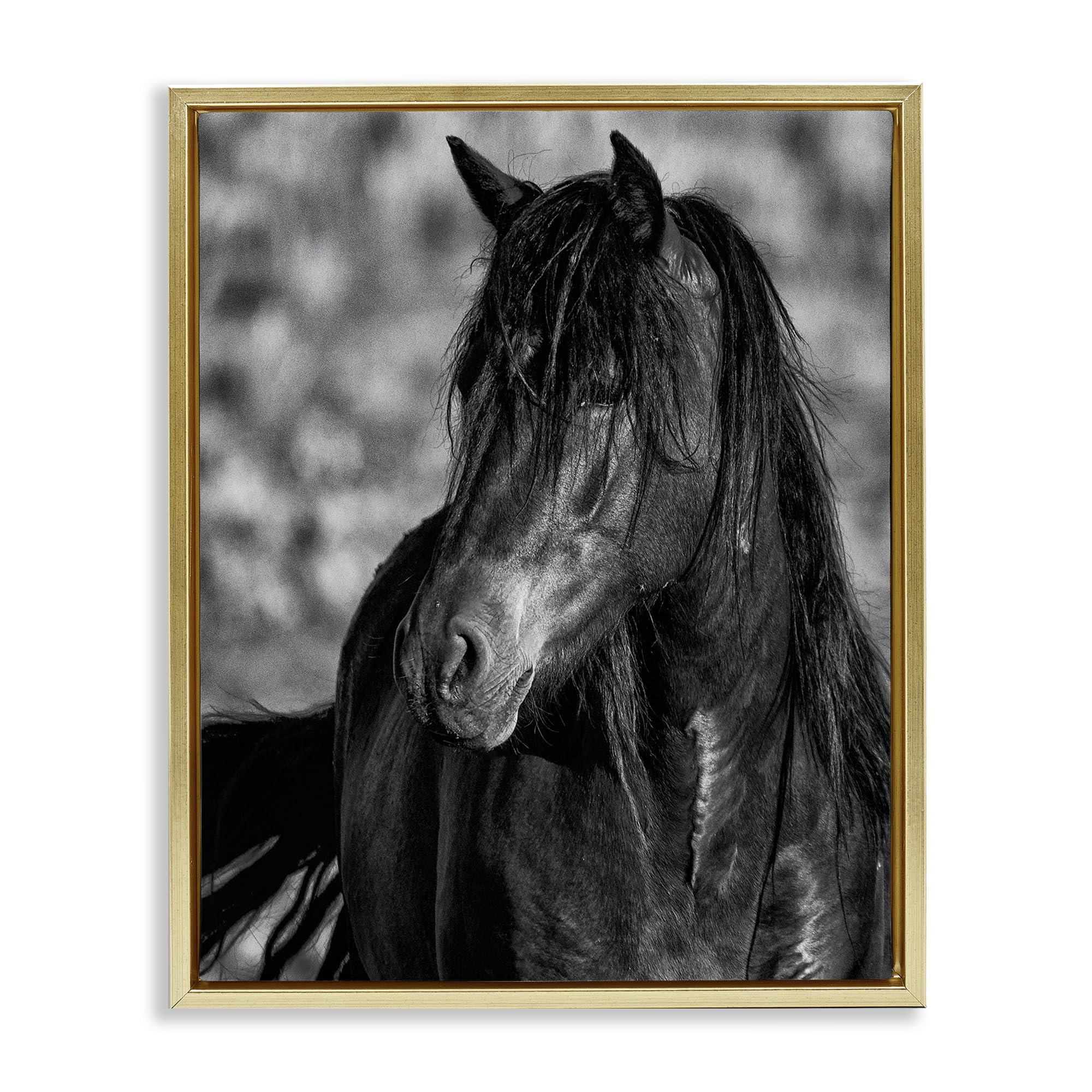 Stupell Industries Metallic Gold (Matte) 'Beauty In Black'| Floating Frame Canvas Art
