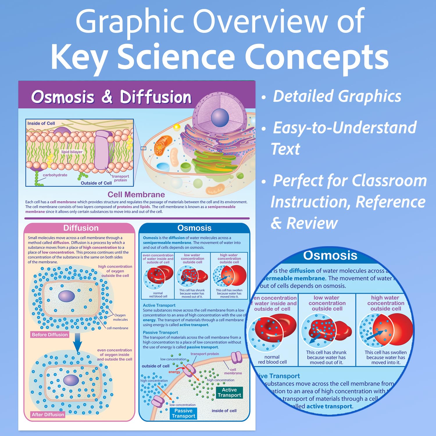 新品 Space Biology Osmosis　LP Osmosis | Space Biology | Companion