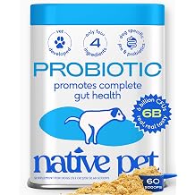 Native Pet Probiotics for Dogs &ndash; Dog Probiotic Powder for Gut &amp; Digestive Health, Vet-Formulated 6B CFUs Dog-Specific Probiotic Strains, Supports Stool Quality &amp; Diet Transitions &ndash; 60 Scoops