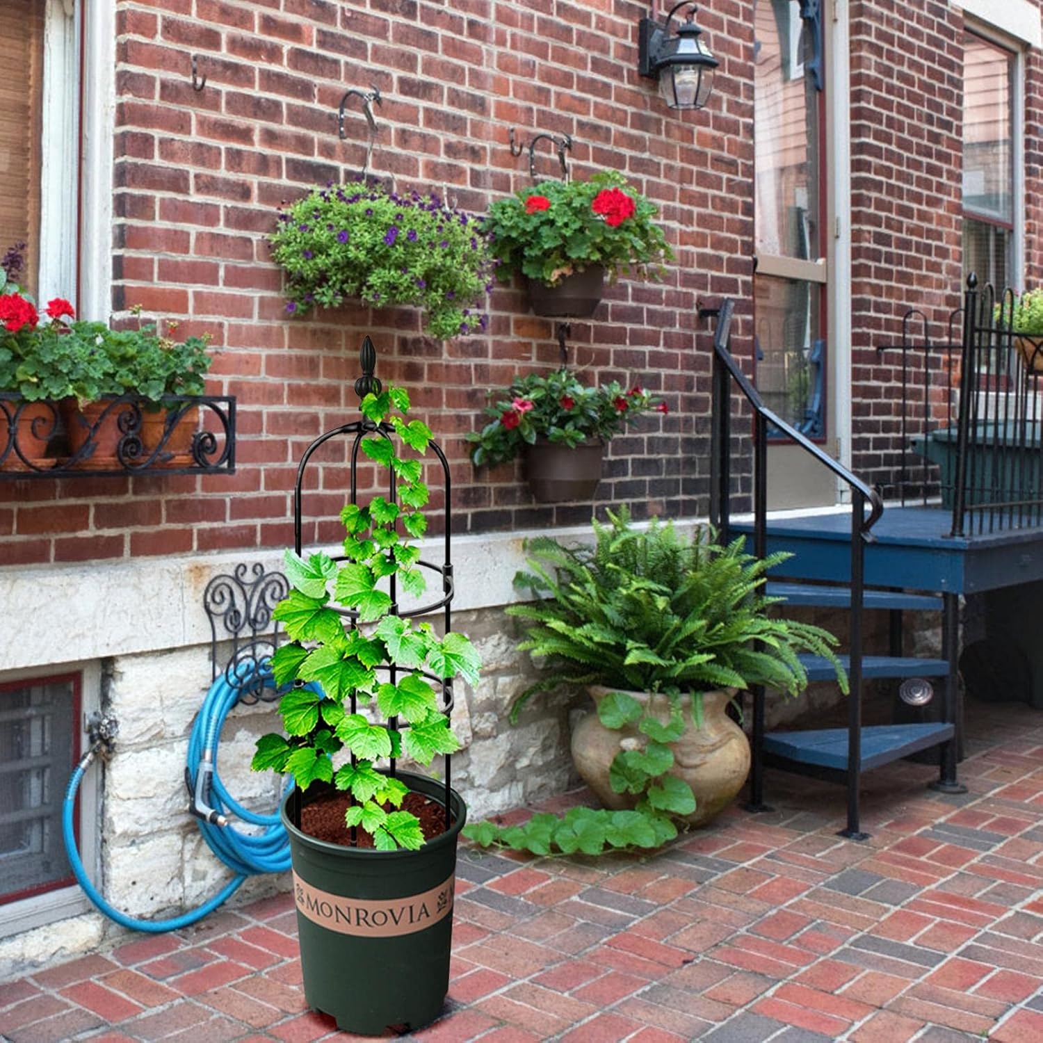 超新作 トレリス オベリスク ガーデニング用支柱 園芸 支柱 金属製 花ささえ 植物サポート杭 植物サポート リング 園芸支柱 つる性植物 観葉支柱 誘引 観葉植物サポート 植物支柱 支柱だけ 花支え ガーデニング用品 植物サポートステーク フラワースタンド 支柱棚 野菜 超新作 トレリス オベリスク ガーデニング用支柱 園芸 支柱 金属製 花ささえ 植物サポート杭 植物サポート リング 園芸支柱 つる性植物 観葉支柱 誘引 観葉植物サポート 植物支柱 支柱だけ 花支え ガーデニング用品 植物サポートステーク フラワースタンド 支柱棚 野菜