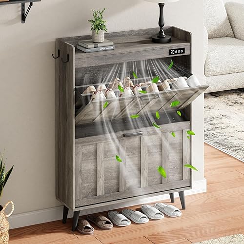 ChooChoo Armario de almacenamiento de zapatos con 2 cajones abatibles, organizador de zapatos desodorizante para entrada, gabinete independiente
