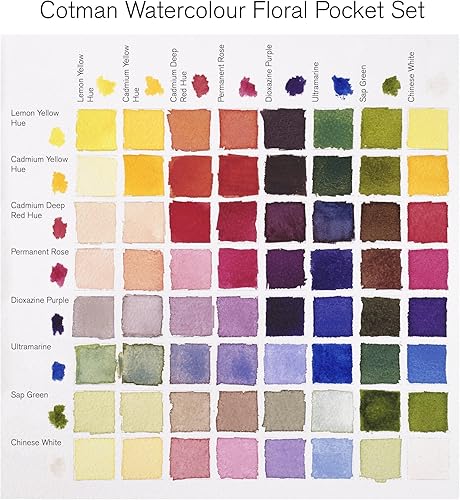 Vista 51 de Winsor & Newton - Cotman - Juego de acuarelas, 12 medias pastillas y pincel Juego de 6 tubos 0.3 fl oz