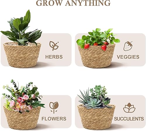 Miniatura 6 de Athaliah Juego de 3 cestas para plantas, cestas tejidas para interiores con forro de plástico, jacinto de agua y cáscara de maíz macetas decorativas