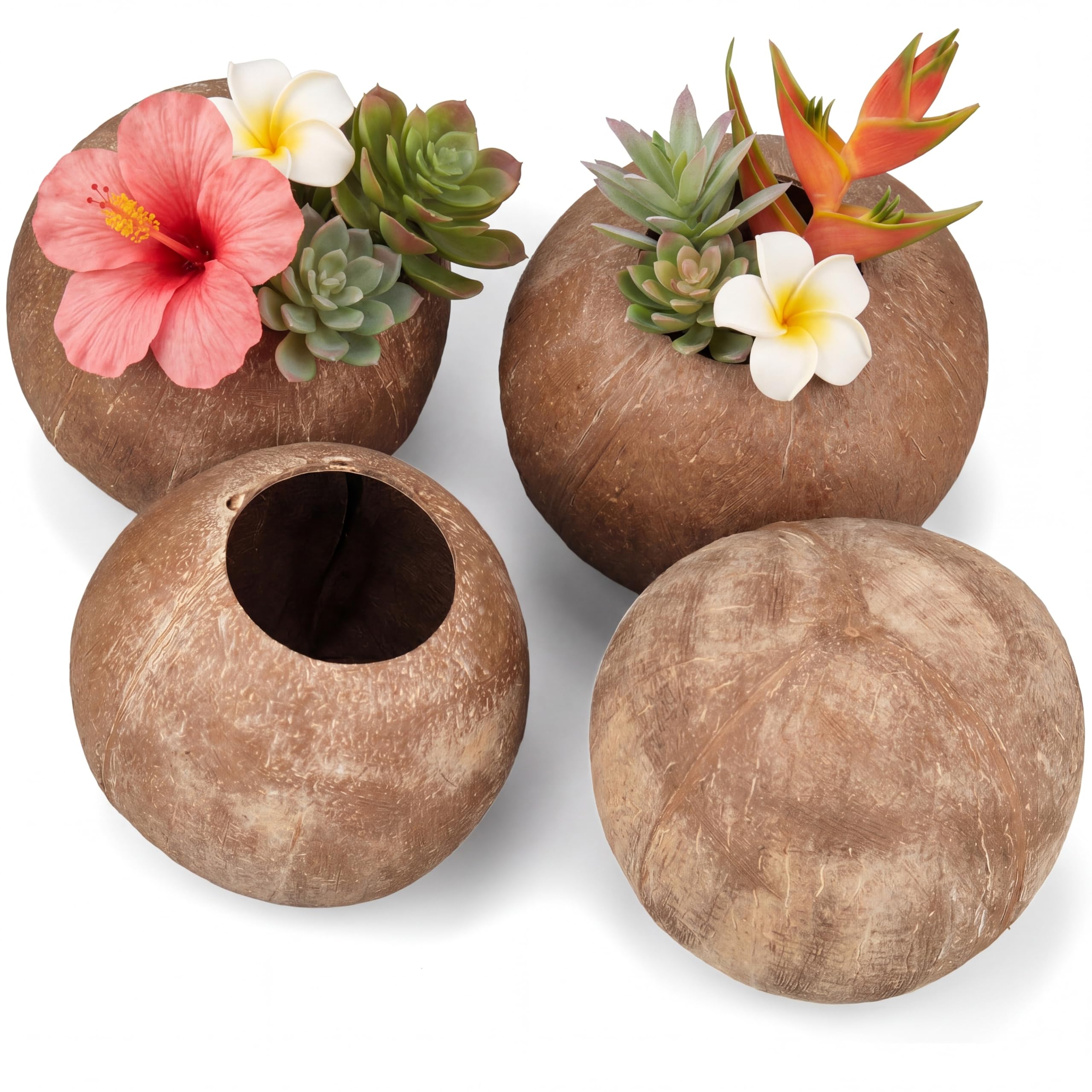 Photo 1 of LemonRoad Natural Coconut Shell Bowls (4 Pcs)